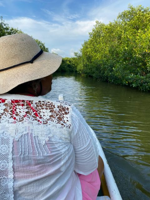 Typical Lunch on Beach, Mangrove Tour & Fishing With Natives - Customer Testimonials