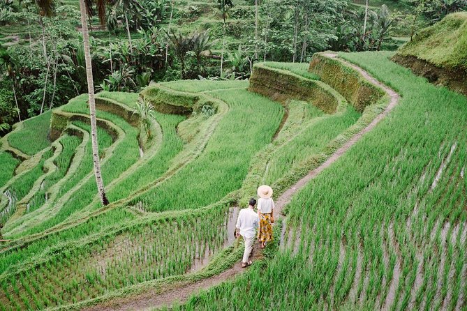 Ubud City Tour II: Monkey Forest, Palace, Art Market, and Rice Terrace - Visiting Tegalalang Rice Terrace