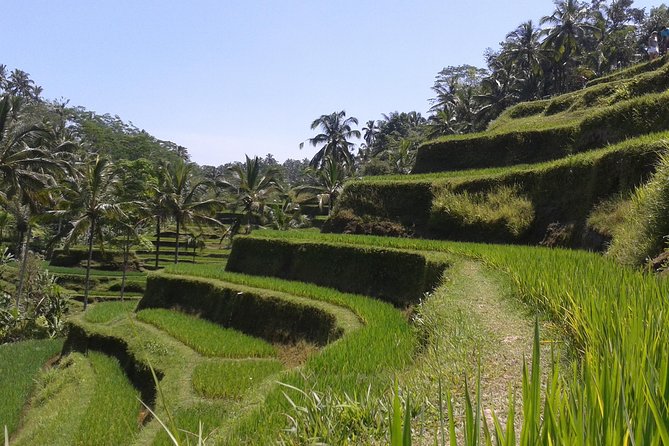 Ubud Cultural Day Tour: A Day for Balinese Cultural Experience - Additional Cultural Attractions