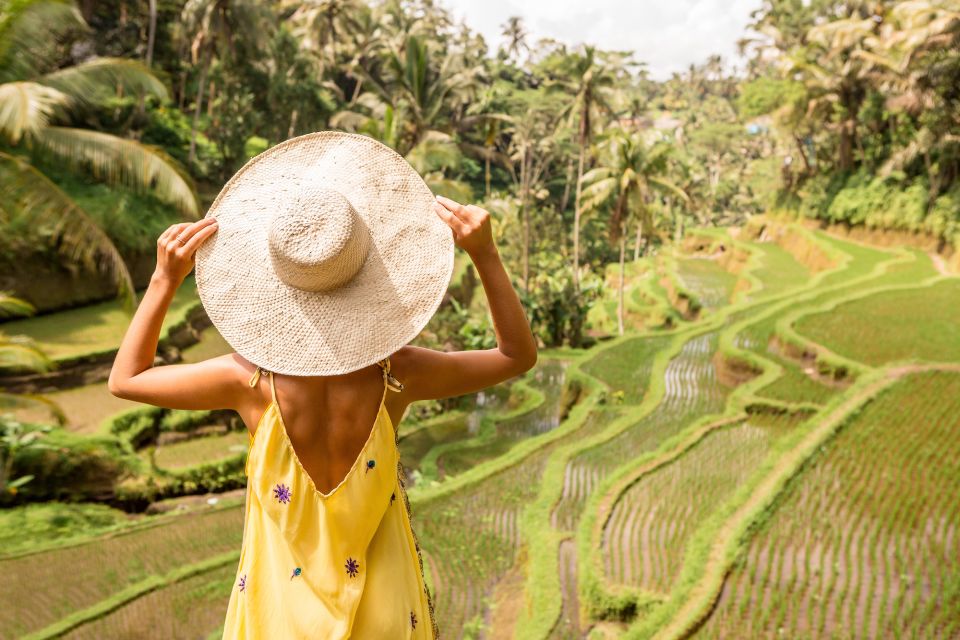 Ubud: Highlights Small Group Guided Tour - Tegallalang Rice Terraces