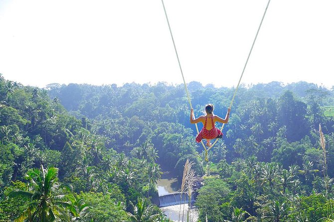Ubud Jungle Swing, Temple & Waterfall Tour (Private Half Day Tour) - Tips for Travelers
