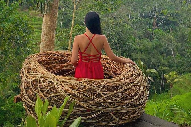 Ubud: Swing - Monkey Forest - Waterfall - Temple - Rice Terraces - Art Crafts - Included Fees and Water