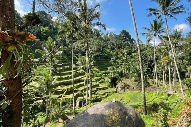 Ubud Tour by Scooter - Tips for a Great Experience