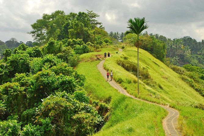 Ubud Tour : Jungle Swing - Campuhan Ridge Walk - Tegenungan Waterfall - Booking Your Ubud Adventure