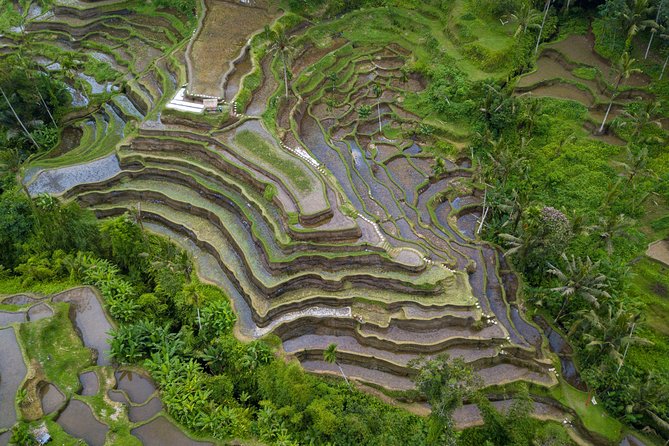 Ubud Volcano Lake and Natural Hot Spring Tour - Buffet Lunch Experience