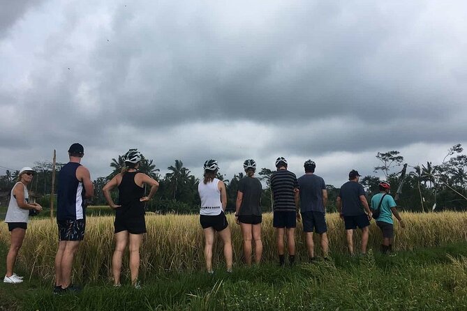 Ubud Wonderful Afternoon Downhill Cycling Tour - Tips for Participants