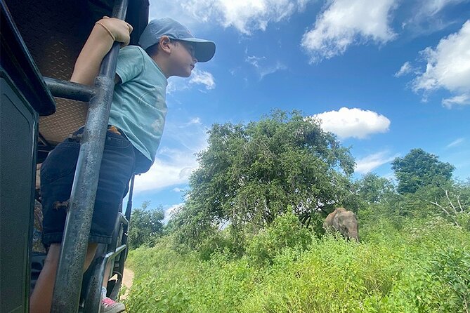 Udawalawe National Park | Private Safari Tour - Reservation Process
