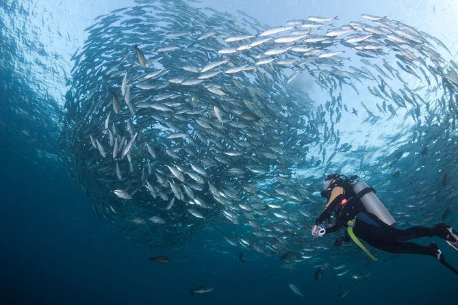 USS Liberty Shipwreck Scuba Diving at Tulamben Bali - Suitability and Restrictions