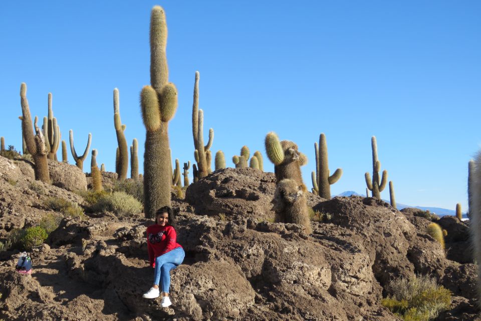 Uyuni: 3 Days Uyuni & Red Lagoon With Private Accommodation. - Inclusions and Exclusions