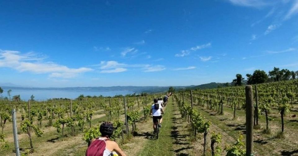 Valle Del Lago: Ebike Tour With Food & Wine Tasting Experience - Experience Highlights