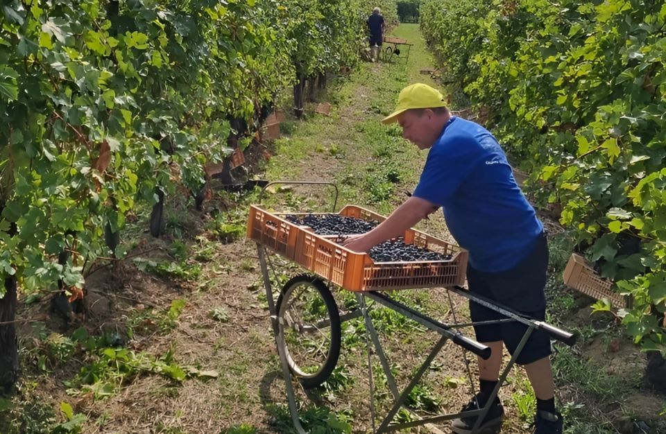 Valpolicella: Boutique Winery Tour and Tasting - Meeting Point and Accessibility