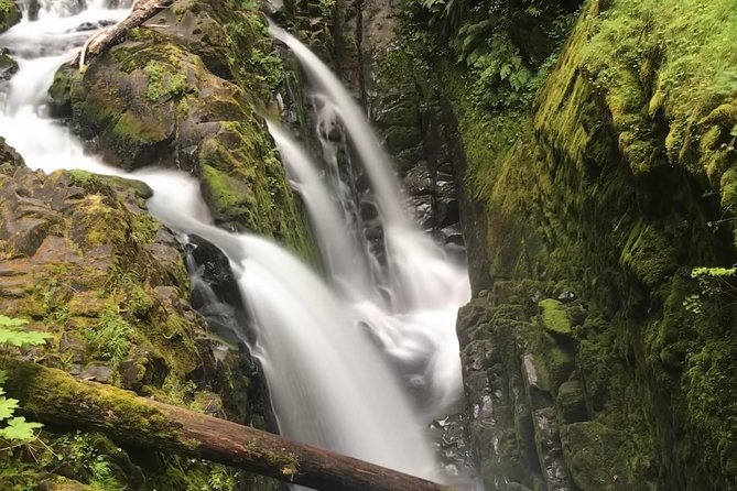 Viator Exclusive Tour- Olympic National Park Tour From Seattle - Tips for an Enjoyable Experience