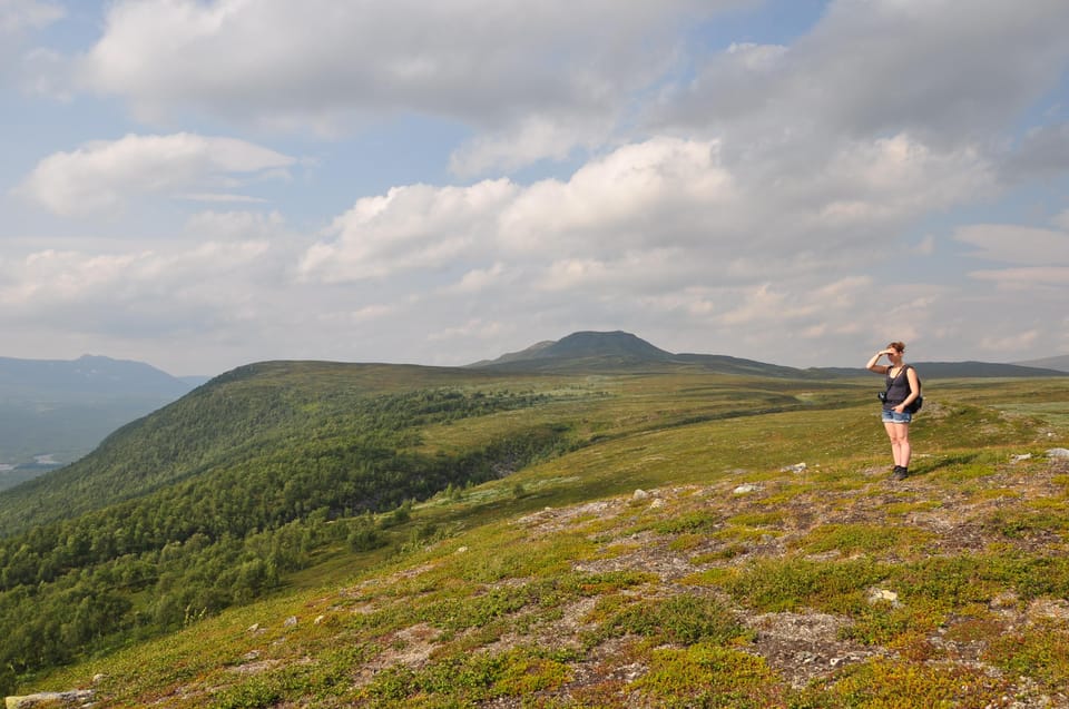 Vindelfjäll Nature Reserve: a Walk Through Reindeer Country - Exploring Reindeer Country