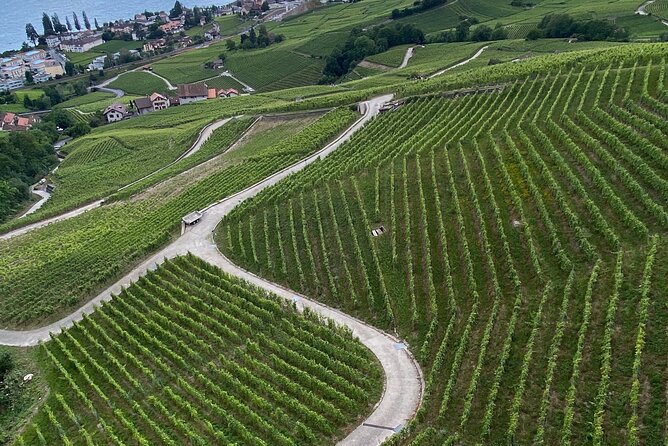 Vine Stories: Lavaux & Lutry Wine Walk - Local Wine Tasting Highlights