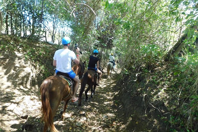 VIP DayPass: ATV, ZipLine, Horse Riding / Shore Excursion & Hotel - Transportation Options