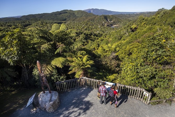 Volcanic Valley Self Guided Walking and Hiking at Waimangu - Tips for Your Visit
