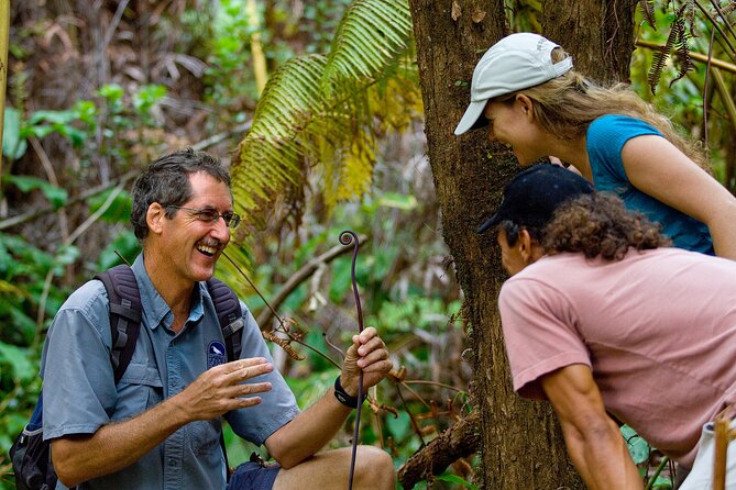 Volcano Unveiled Tour in Hawaii Volcanoes National Park - Tips for Participants