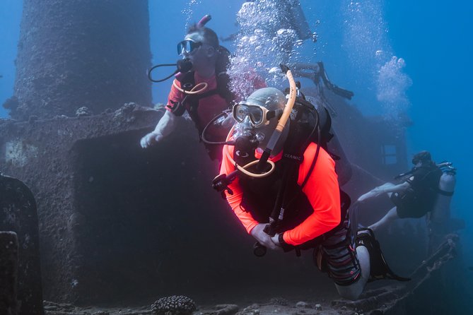 Waikiki 2 Tank World Class Wreck SCUBA Diving - Certified Only - Marine Life Highlights