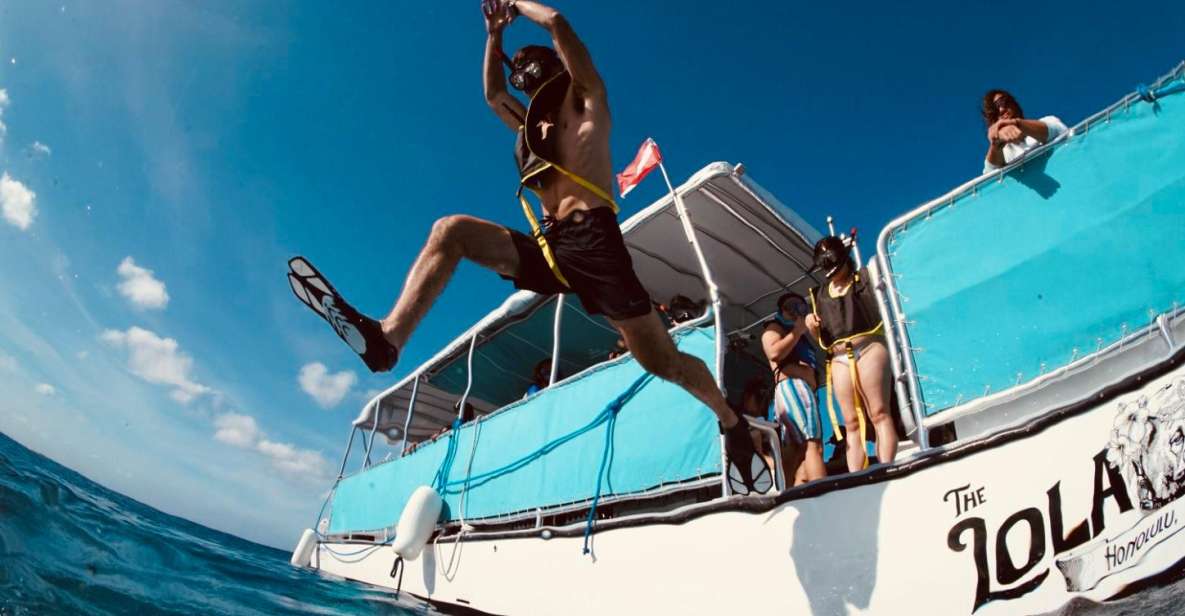 Waikiki: Snorkel Tour With Hawaiian Green Sea Turtles - Flexible Booking and Cancellation