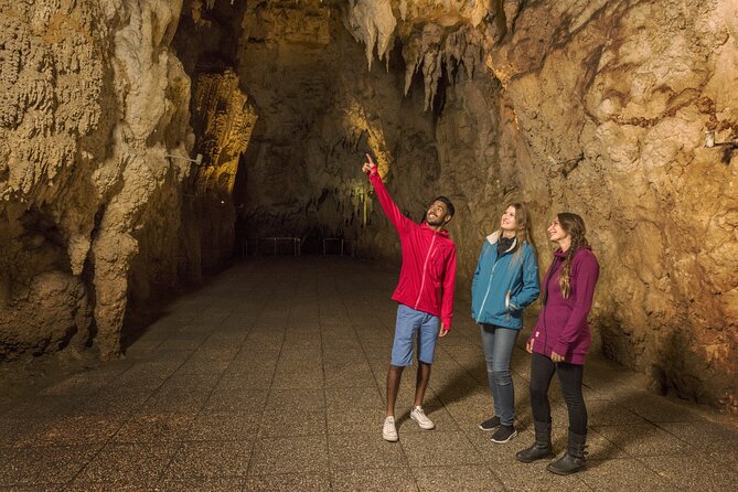 Waitomo Glowworm Cave Experience - Small Group Tour From Auckland - Travel Considerations