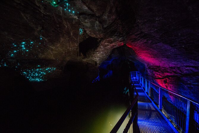 Waitomo Glowworm & Ruakuri Twin Cave - Private Tour From Auckland - Booking Information and Policies