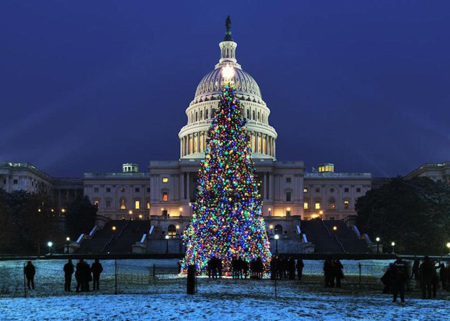 Washington DC: Moon Light Tour of National Mall & Memorials - Meeting Point and Policies