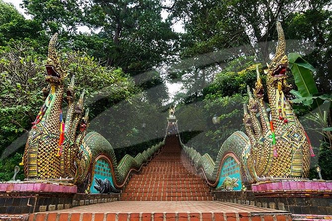 Wat Doi Suthep Temple and White Meo Hilltribe Village Half-Day Tour From Chiang Mai - Booking and Pricing Information