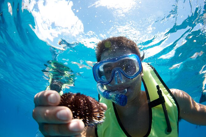 West Oahu Hawaiian Green Sea Turtle, Dolphin Snorkel Sail W Lunch - Booking and Cancellation Policy