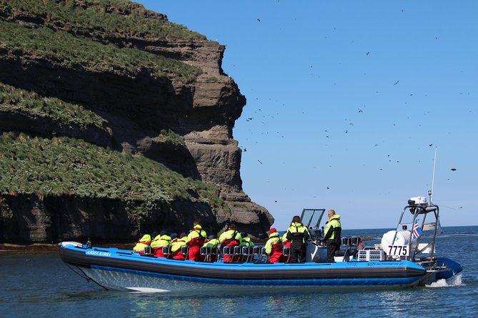 Whale Safari and Puffins RIB Boat Tour From Húsavík - Tour Cancellation Policy