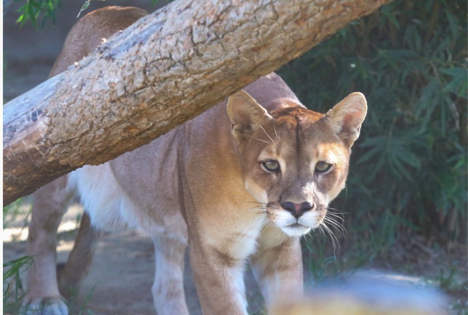 Wildlife Rescue Center and Preservation Park - Reservation Process