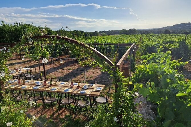 Wine Experience: Vineyard, Wines and Food - Local Culture and Cuisine