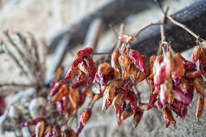 Wine Ostuni, Tour of an Apulian Winery With Traditional Lunch or Aperitivo - Purchasing Wines After Tour