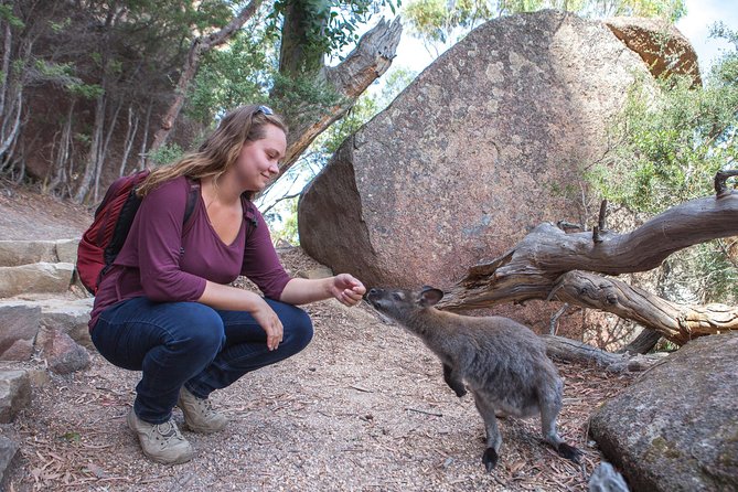 Wineglass Bay and Freycinet National Park Active Day Trip From Hobart - Tips for Your Trip