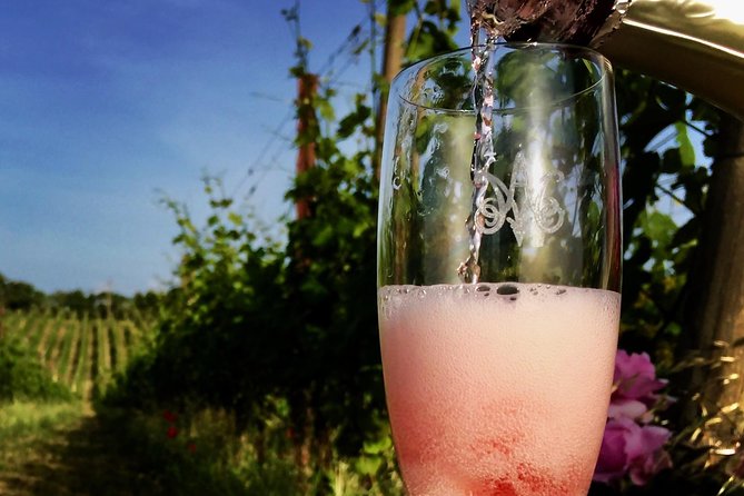 Winery Tour and Wine, Cheese & Charcuterie Tasting - Guest Reviews and Feedback