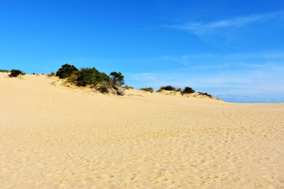 Wright Brothers Carolina Dunes: Self-Guided Driving Tour - Currituck Beach Lighthouse