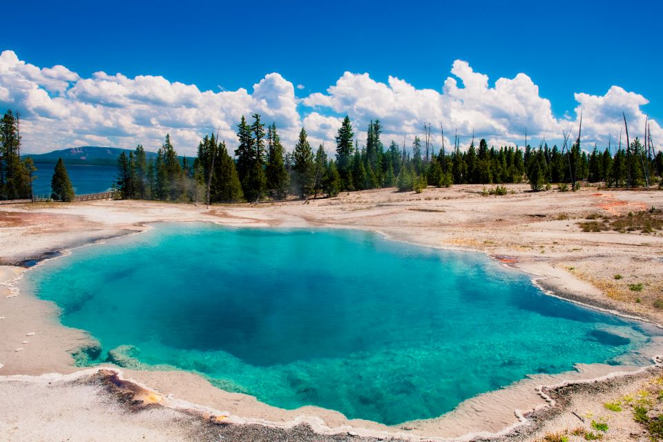 Wyoming: Grand Teton and Yellowstone Parks Audio Tour App - Extended Validity and Support