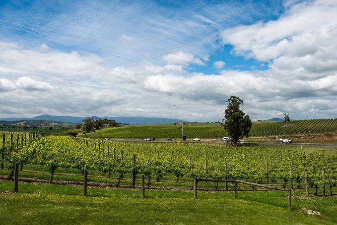 Yarra Valley Wine and Winery Tour From Melbourne - Dining Experience