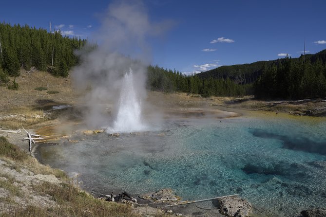 Yellowstone Full Day Private Tour - Transportation and Accessibility