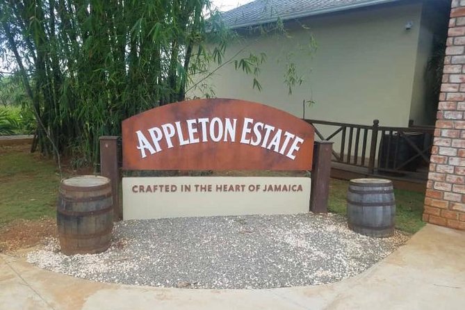 YS Falls and Appleton Estate Private Rum Tour - Tips for Your Visit