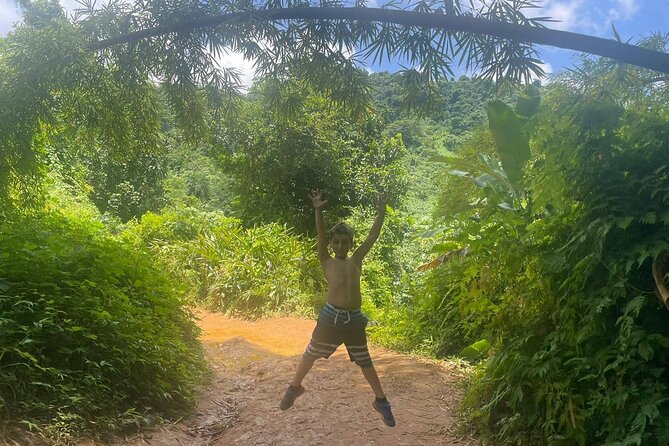 Yunque Rainforest Tour in Puerto Rico - Booking Information and Pricing