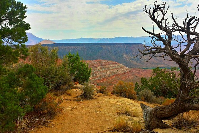 Zion Jeep Tour Premium Package - Afternoon Tour - Tips for a Great Experience
