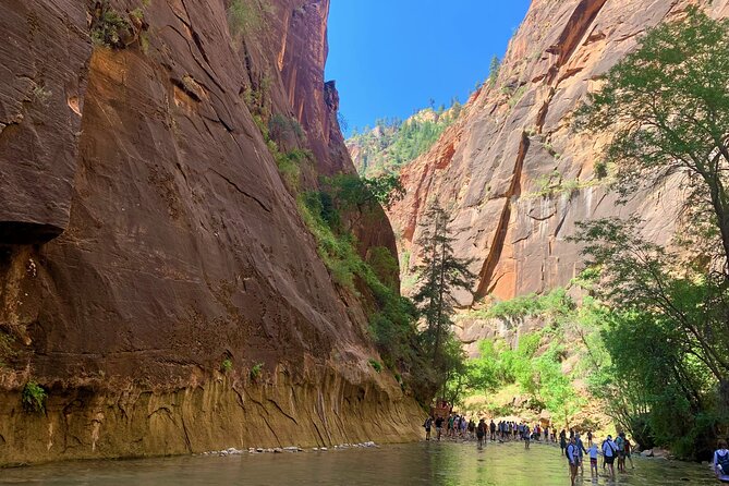 Zion National Park Small Group Tour From Las Vegas - Tour Guide Insights