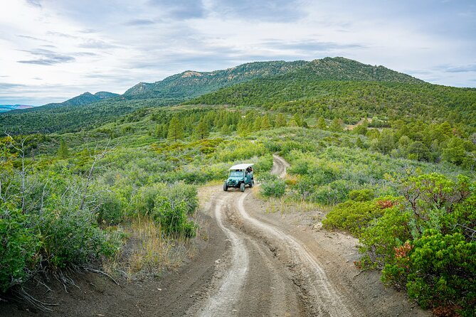 Zion Sunset Jeep Tour - Tips for Enjoying the Tour