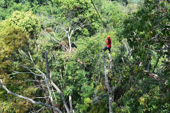 Zipline Adventure at Skyline Jungle Luge Chiang Mai - Highlights of the Experience