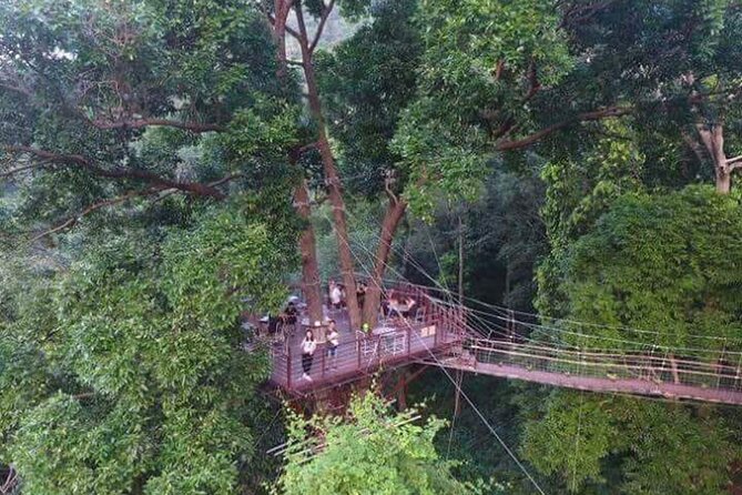 Zipline Ride on Koh Samui - Tips for a Great Experience