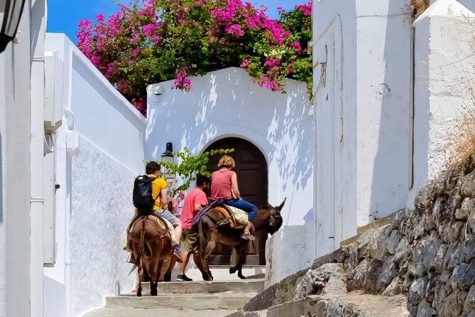 1 Day Rhodes Island Tour With Olive Oil, Honey and Wine Tasting - Booking Information