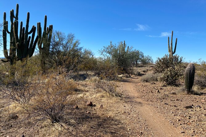 2 Hour Sonoran Desert Private Guided Mountain Bike Tour - Booking Information