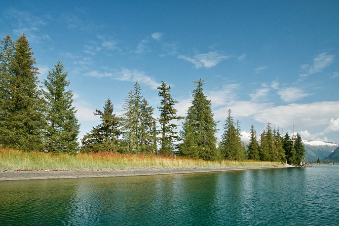26 Glacier Cruise and Coach From Anchorage, AK - Customer Reviews and Ratings