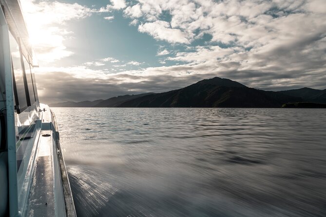 3.5 Hour Marlborough Sounds Delivery Cruise - Tips for an Enjoyable Cruise