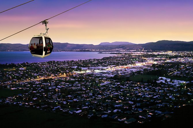 3-Day Wellington to Auckland Tour - Booking Information and Tips